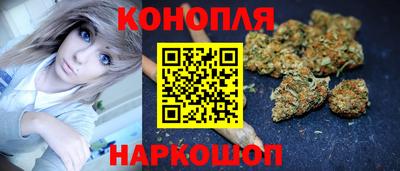 прущие грибы Усть-Джегута