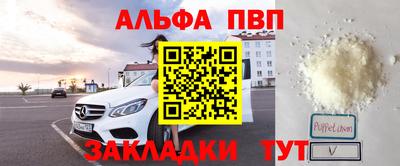 прущие грибы Усть-Джегута